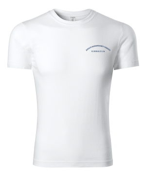 Alytaus Adolfo Ramanausko-Vanago gimnazijos unisex marškinėliai su logo P73