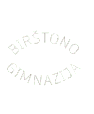 Birštono gimnazijos džemperis su logo 262/265
