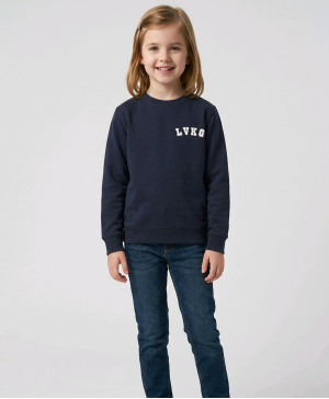 Telšių r. Luokės Vytauto Kleivos gimnazijos džemperis su logo 262/265